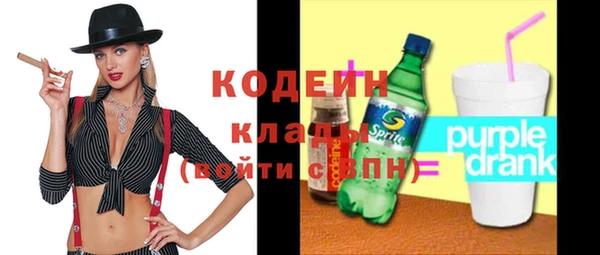 ешки Бородино