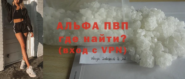ешки Бородино