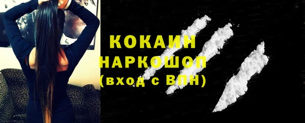 ешки Бородино