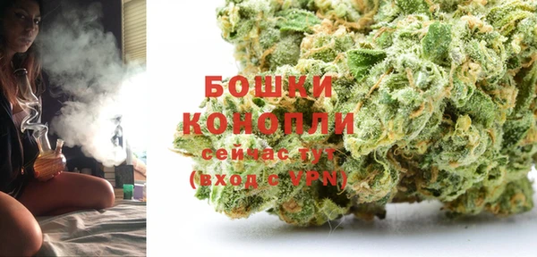 ешки Бородино