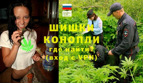 тгк Бронницы