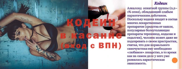 ешки Бородино