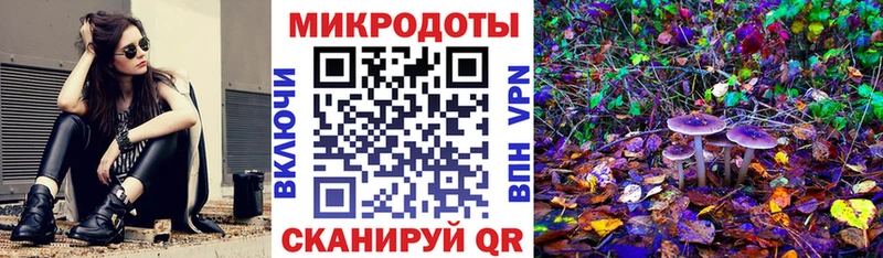 купить наркоту  Власиха  Псилоцибиновые грибы мицелий 